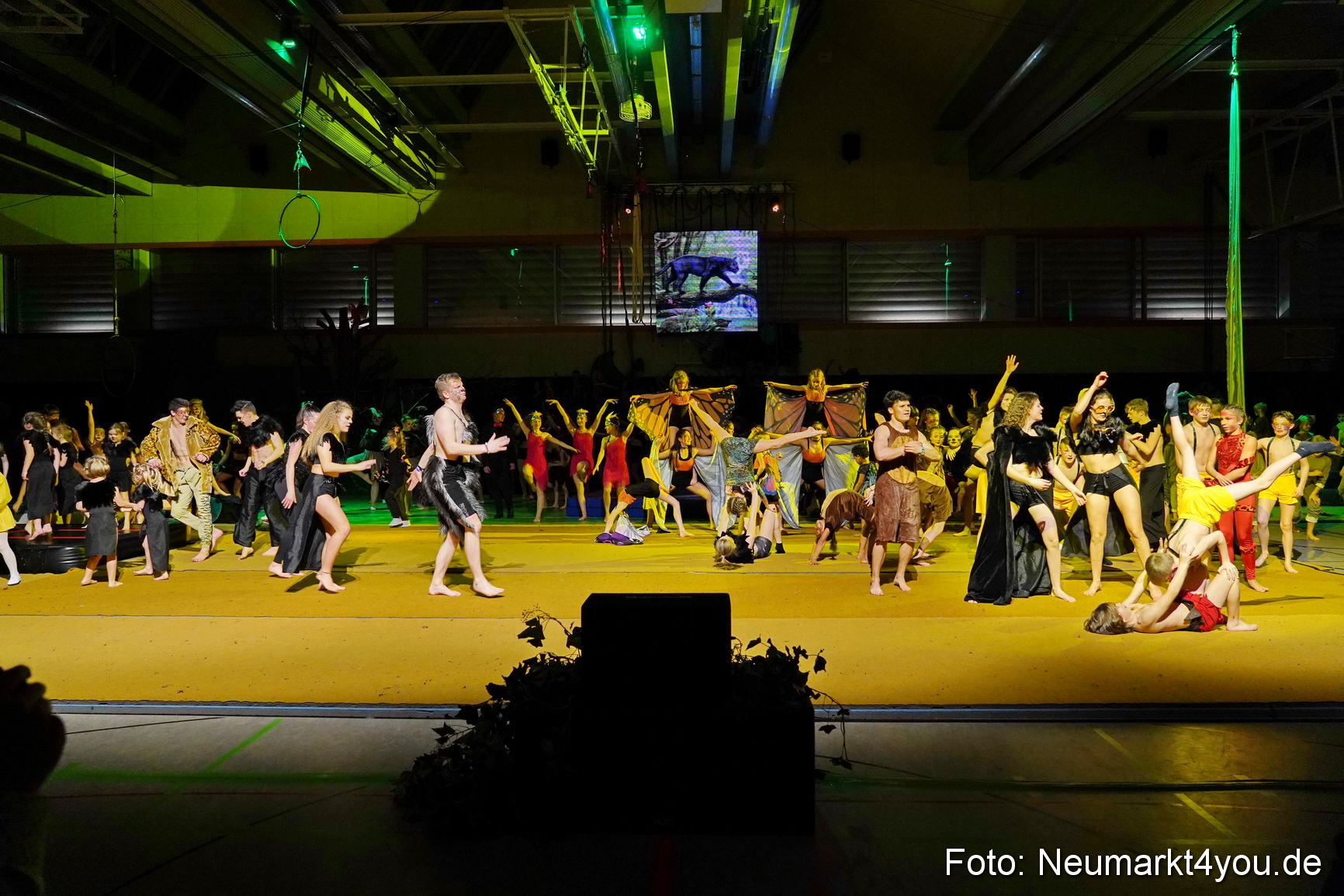 Artico Artistical Dschungelbuch 2020 0180